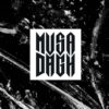 Vinyl der Woche: Musa Dagh - No Future