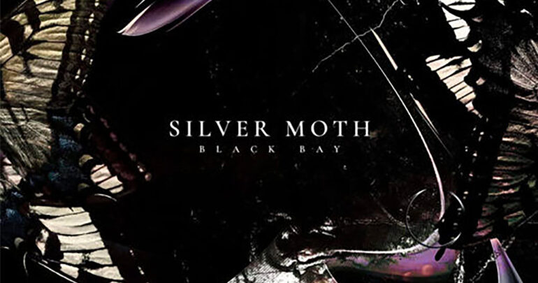 Vinyl der Woche: Silver Moth - Black Bay