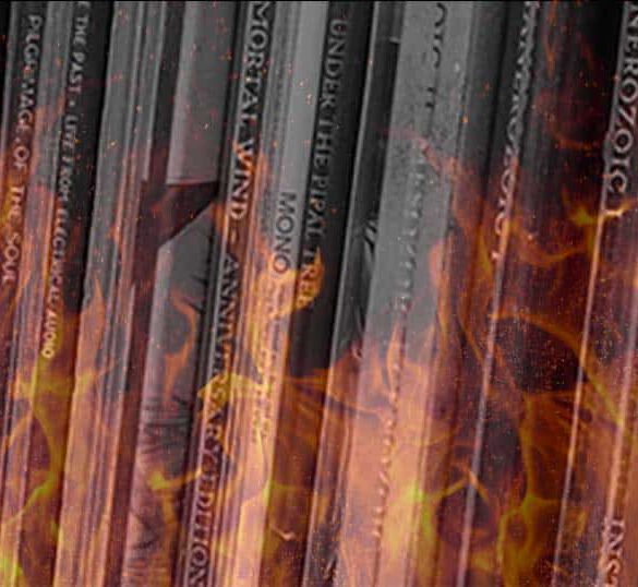 Record collection falls victim to major fire