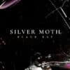 Vinyl of the week: Silver Moth - Black Bay