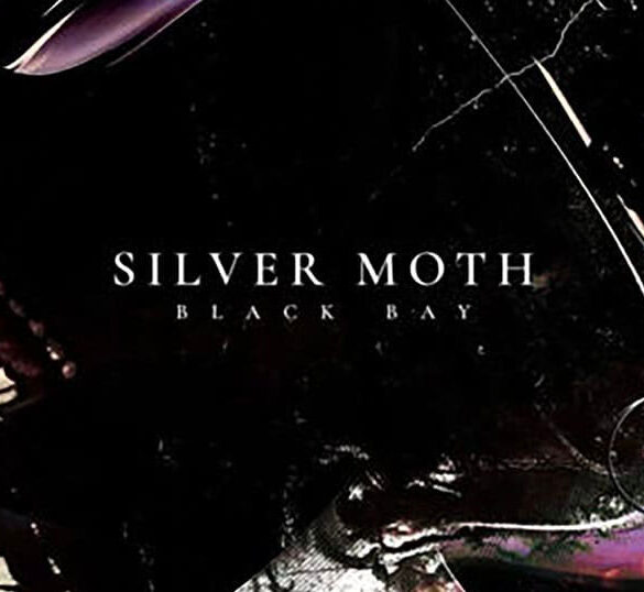 Vinyl of the week: Silver Moth - Black Bay