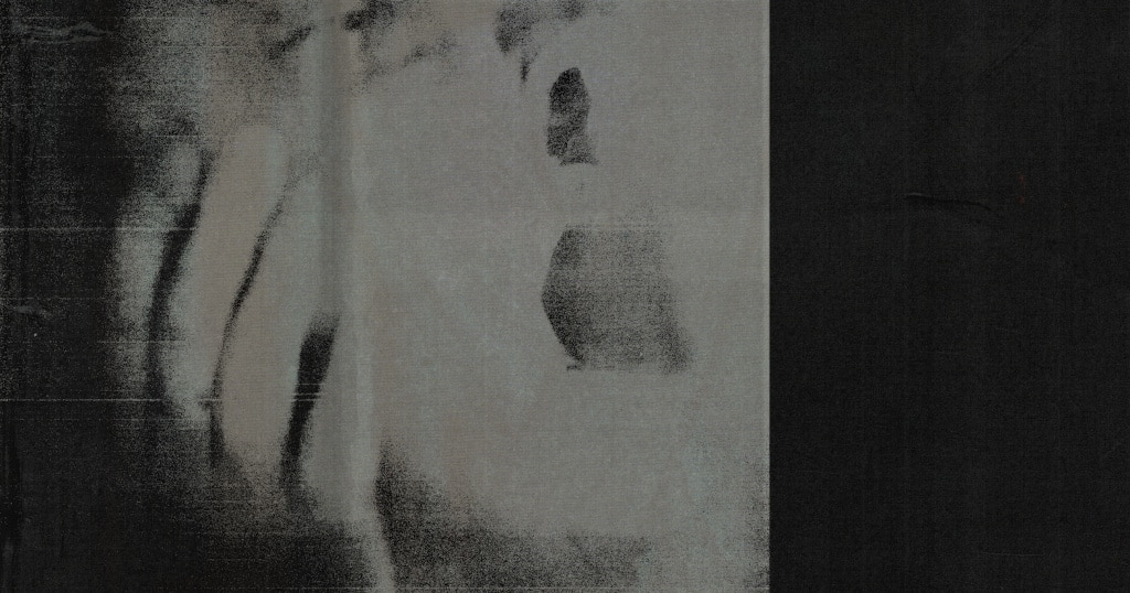 Vinyl des Monats: DITZ - Never Exhale